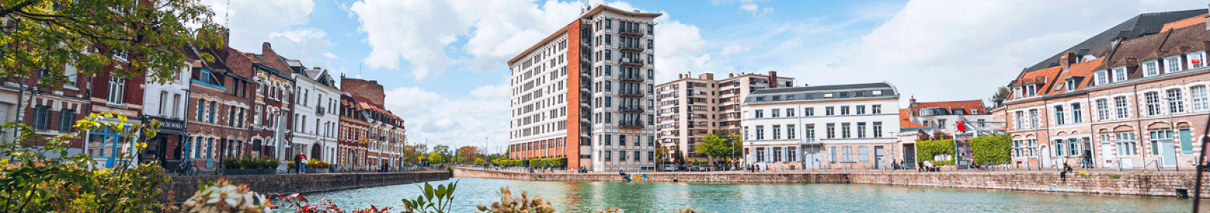 Shuttle Bus Between Lille and Lille Airport