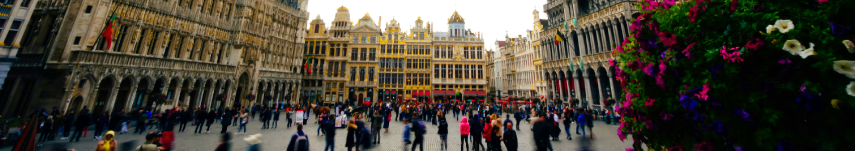 Shuttle Bus Between Brussels Zaventem Airport and Charleroi Airport