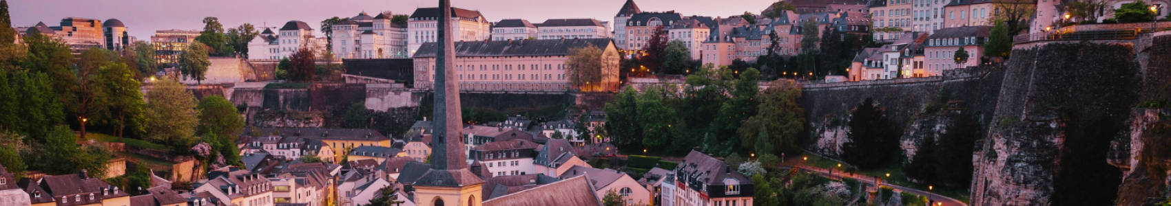 Shuttle Bus Luxembourg - Brussels ZaventemAirport